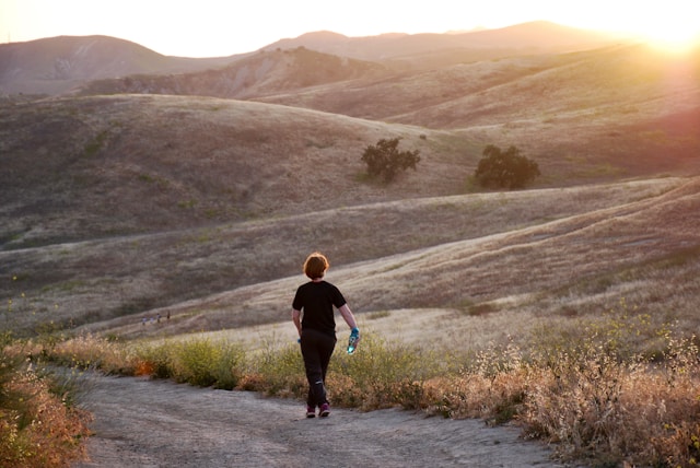 Kerlonavesso домашна енергия